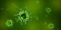 Detectan un nuevo virus de la influenza transmitido por aves